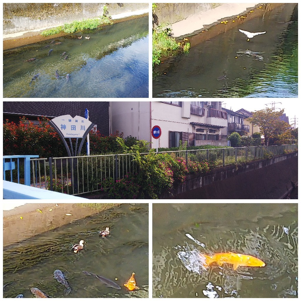 東京へ_a0098418_18204232.jpg