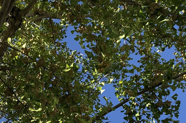 a0017634_20594254.jpg