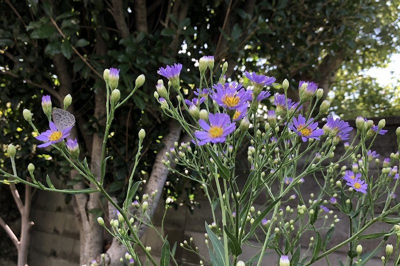 a0017634_215078.jpg