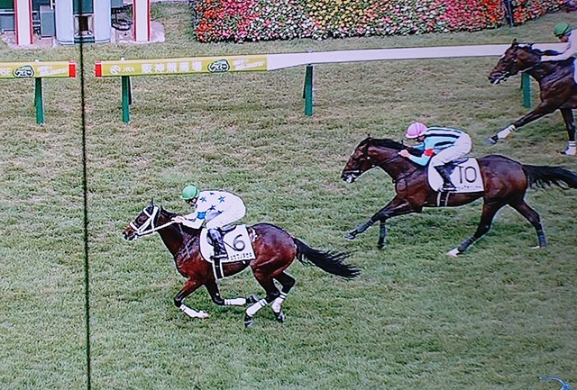 阪神 新馬戦 連勝!_a0009035_12311194.jpg