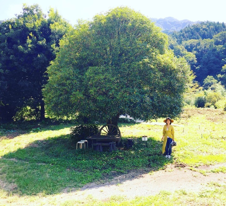 大月ピラミッドセンター その1 Ayakoishii Samasamaaroma