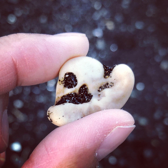 クジラ 耳骨 新しい