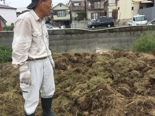 草木染めと大根の種まきをしました!!_f0079749_17521789.jpg