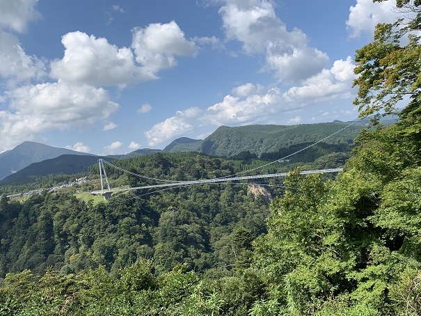 d0146758_11525925.jpg