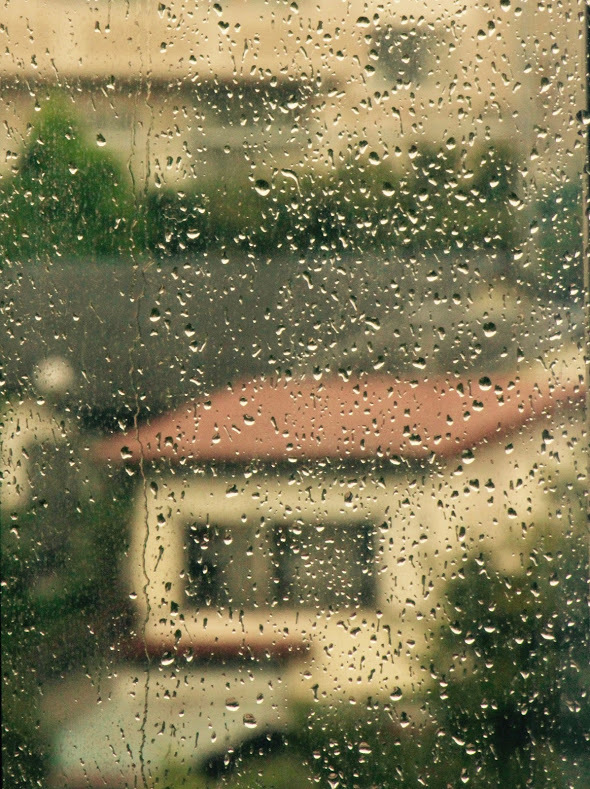 a0248459_13430185.jpg