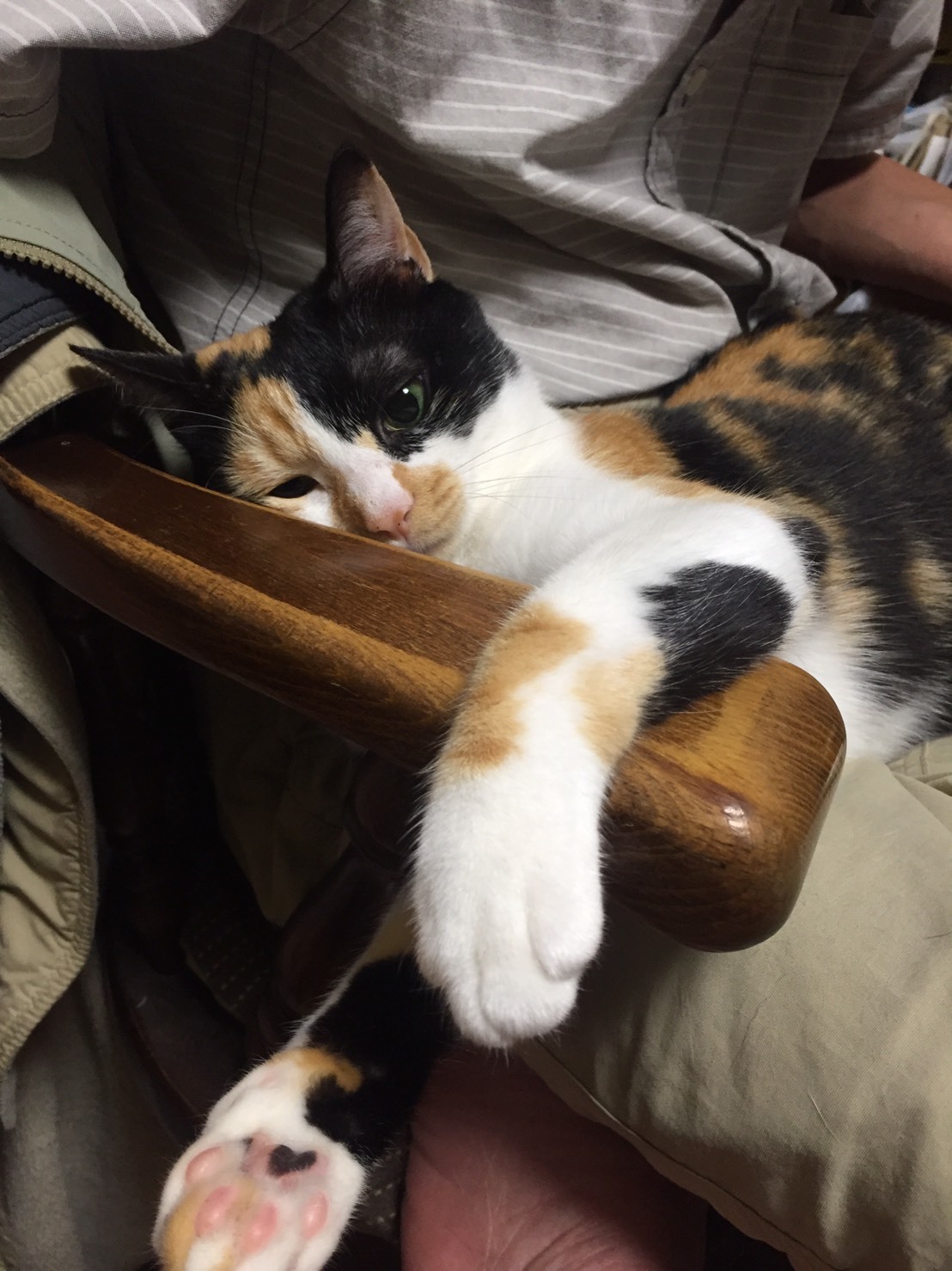 a0053063_11212198.jpeg