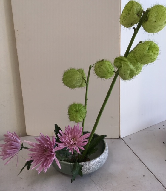 9月の生け花レッスン_e0350971_07573491.jpg