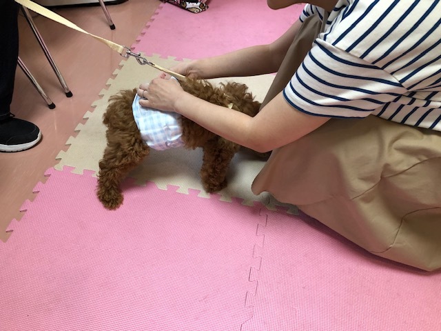 パピー教室(2019・9・21)_e0367571_22380200.jpg