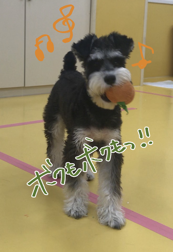 おにいちゃんといっしょ!_f0357682_02054365.jpg