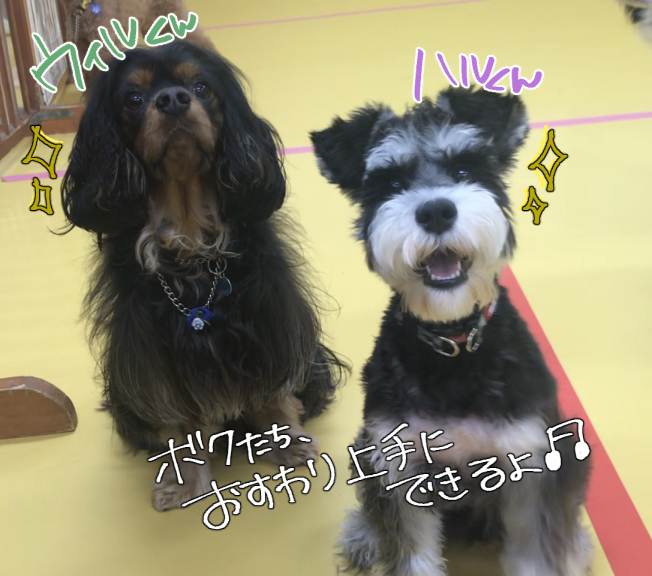 おにいちゃんといっしょ!_f0357682_02054384.jpg