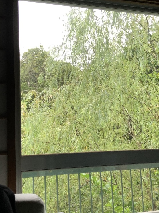 b0098584_15441801.jpeg