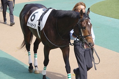 こんなにも強かったのか！神戸新聞杯はサートゥルナーリアが圧勝で重賞３勝目を飾る_b0015386_22544155.jpg