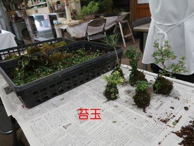 f0059498_14074482.jpg