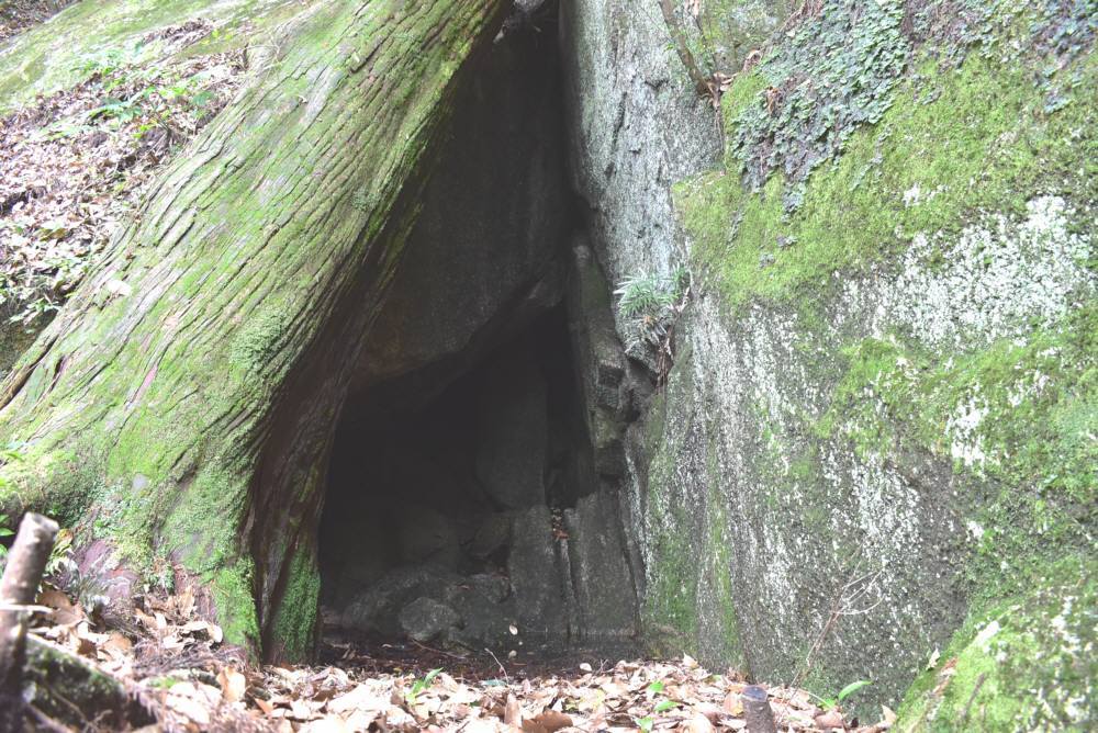 f0212511_12185822.jpg