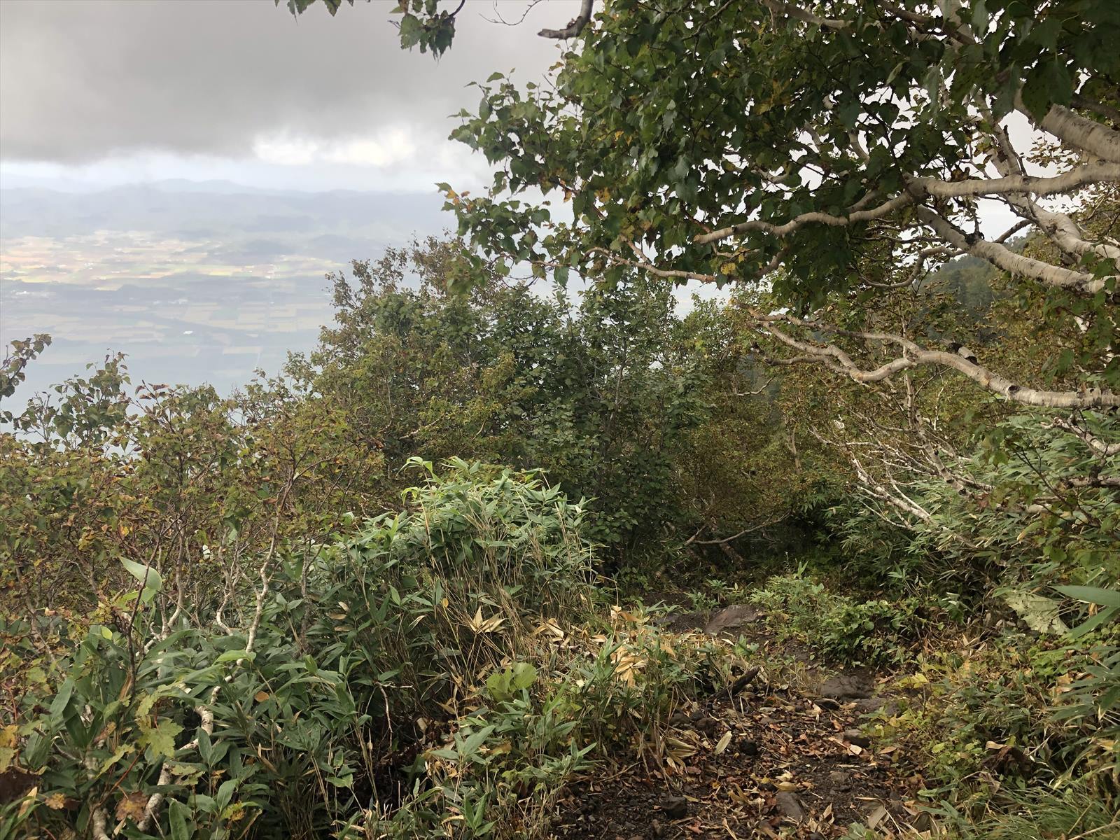 後方羊蹄山登山 2019年9月_c0337813_17133238.jpg