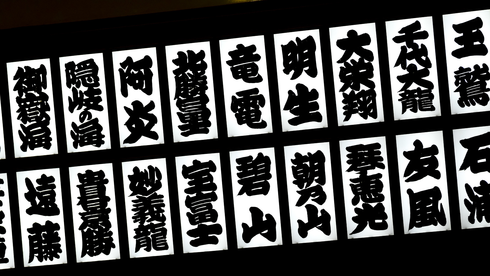 大相撲 令和元年 九月場所 千秋楽_b0029315_15493127.jpg
