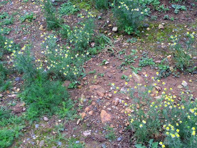 d0066822_14042590.jpg