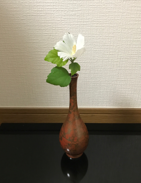 九月の茶花 木槿 ハトホルたちのエクササイズをご一緒に