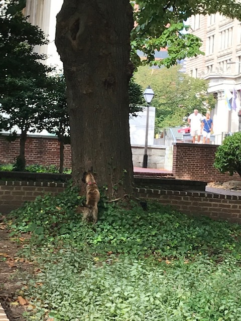 週末お散歩は、裏街歩き_d0269832_03150872.jpeg