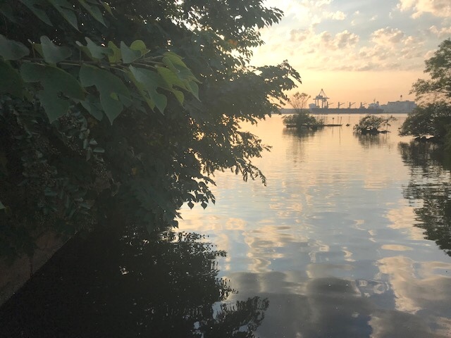 d0269832_19395709.jpeg
