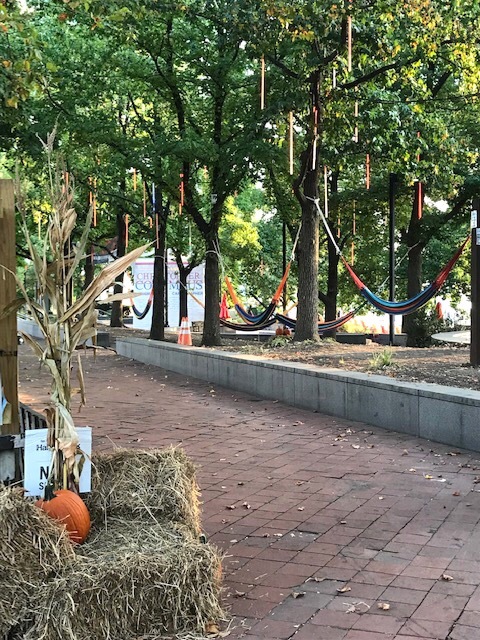d0269832_19405799.jpeg