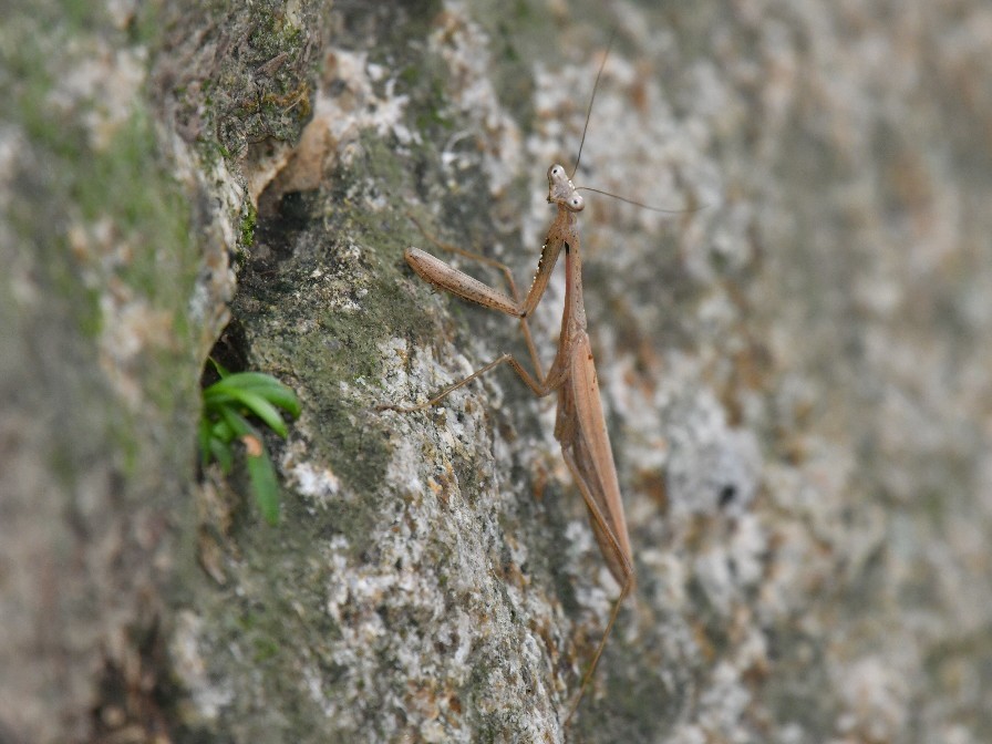f0340732_15500019.jpg