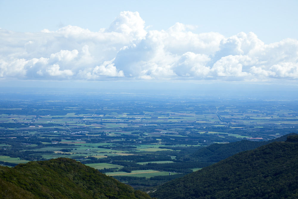 d0139939_12482453.jpg