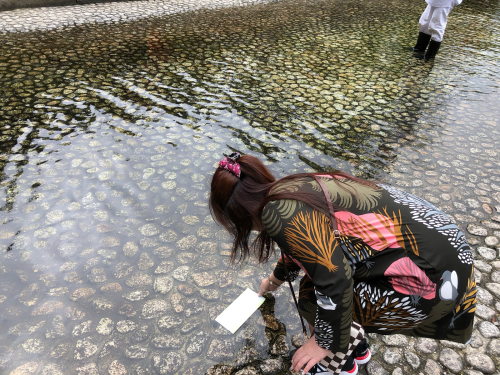 下鴨神社_e0292546_01355926.jpg
