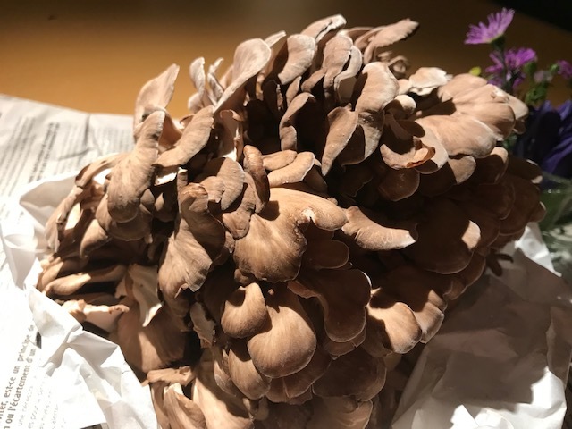 c0343447_08563745.jpg