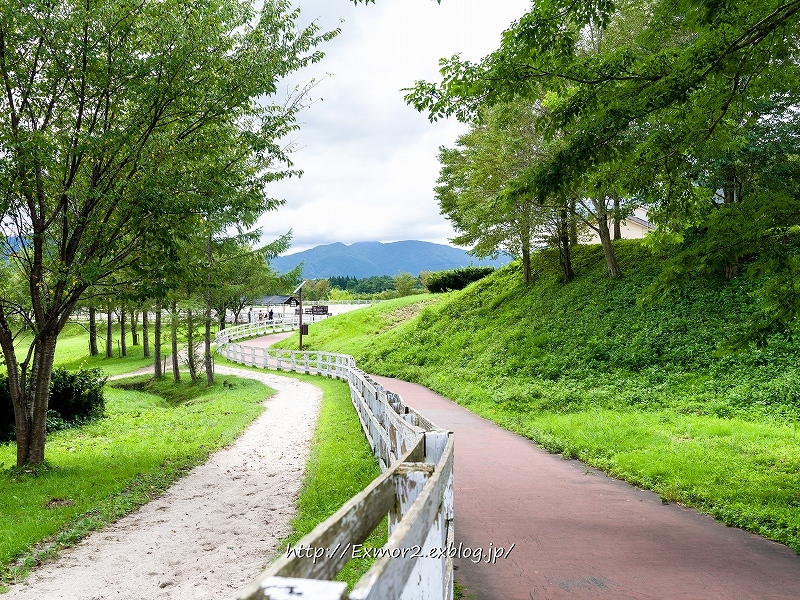 蒜山高原_f0368258_00062431.jpg