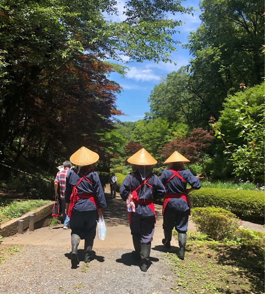 花菖蒲が見頃＠薬師池公園/町田_a0092659_14592064.jpeg