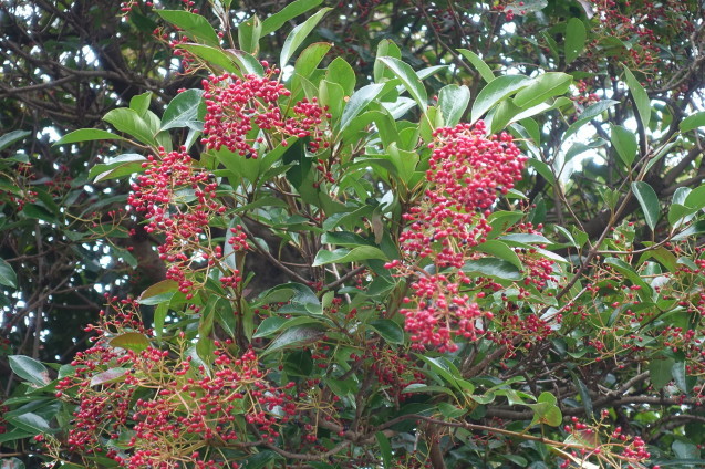 e0232277_10403291.jpg