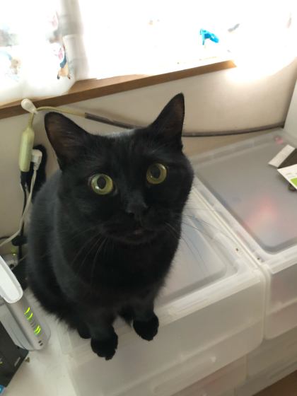 ゆるい_e0355177_14580340.jpg