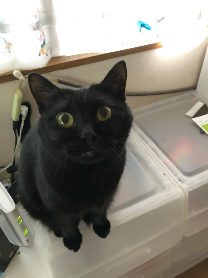ゆるい_e0355177_15000768.jpg