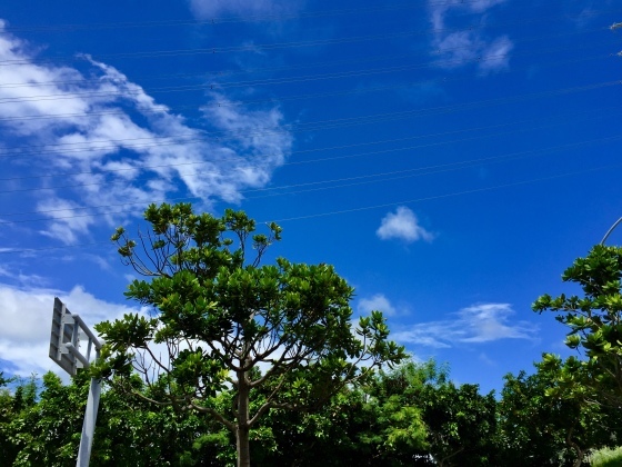 a0258686_08134018.jpeg