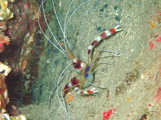 e0115199_13552698.jpg