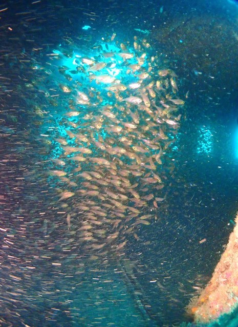 e0115199_13574073.jpg