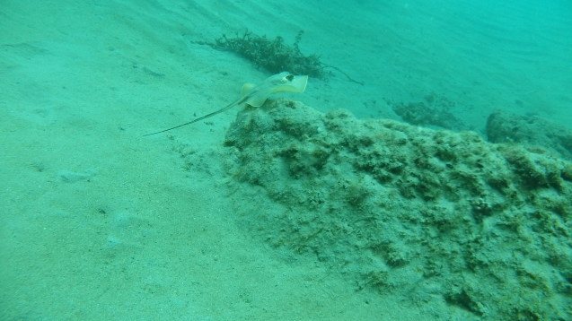 e0115199_13594223.jpg