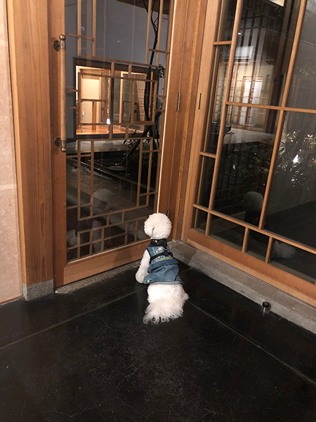 一年振りの金門抗_f0126903_11473146.jpg