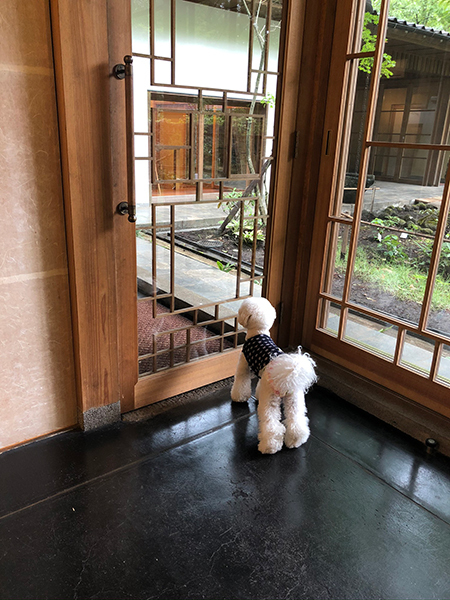 一年振りの金門抗_f0126903_11483188.jpg