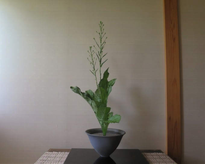 仙翁花(センノウゲ)と紫苑(シオン)いけばな_a0214206_00004399.jpg