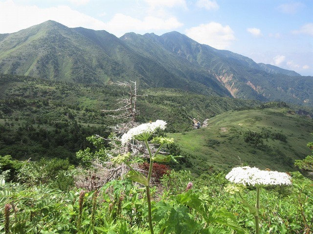 白山　花模様ハイキング　砂防新道・南竜道　　　　　Mount Haku in Hakusan National Park_f0308721_23035609.jpg