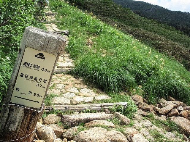 白山　花模様ハイキング　砂防新道・南竜道　　　　　Mount Haku in Hakusan National Park_f0308721_23052079.jpg