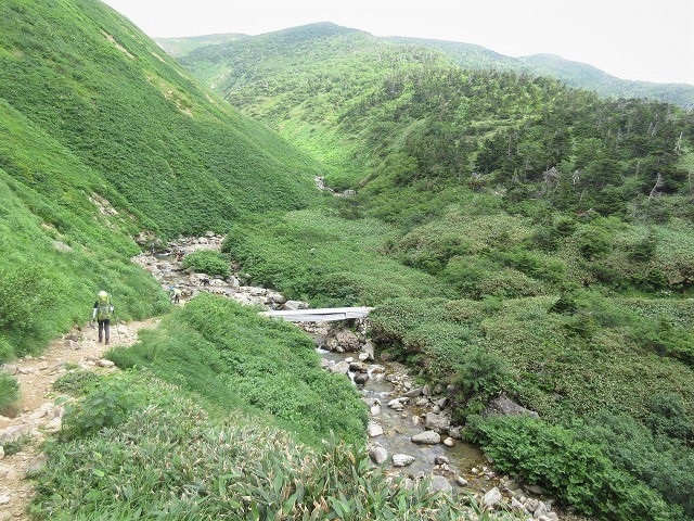 白山　花模様ハイキング　砂防新道・南竜道　　　　　Mount Haku in Hakusan National Park_f0308721_23054599.jpg