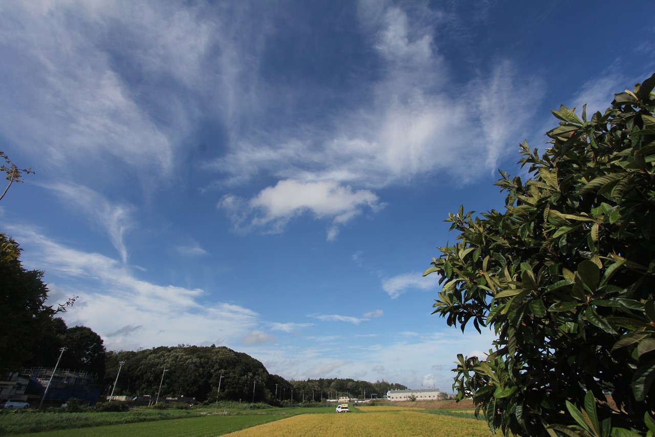 f0225627_20353140.jpg