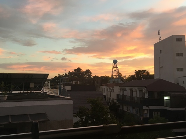 c0221732_13262869.jpeg