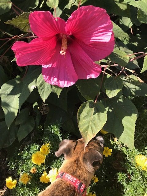 d0269832_20271774.jpeg
