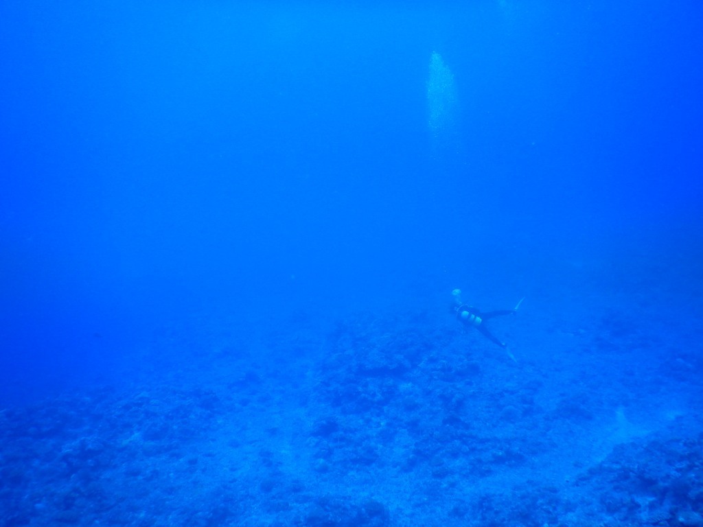 Diving with Liuqiu dive !! DAY 2☆_a0189838_23553602.jpg