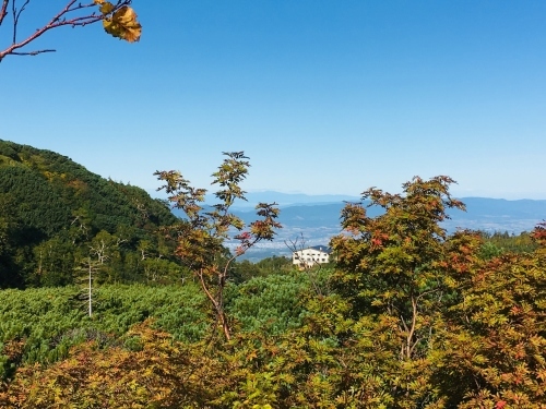 富良野岳途中まで^^;_e0326953_23230623.jpg