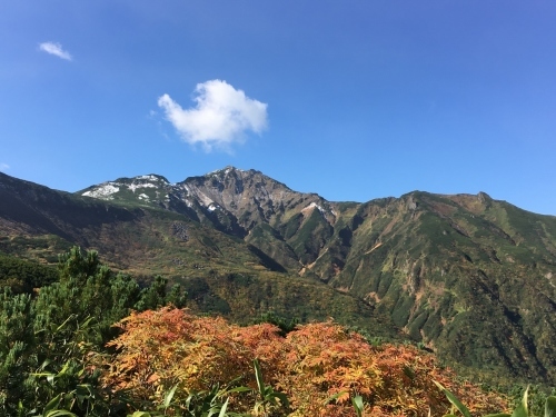 富良野岳途中まで^^;_e0326953_23292117.jpg